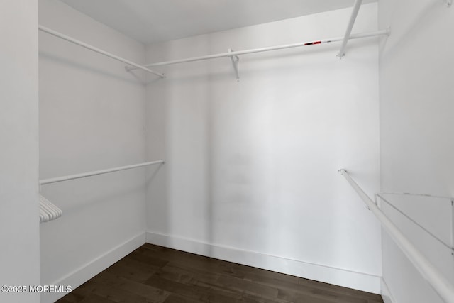 walk in closet featuring dark hardwood / wood-style flooring