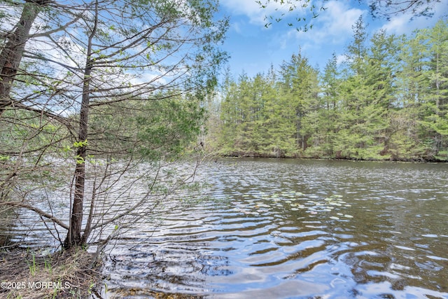 water view with a wooded view