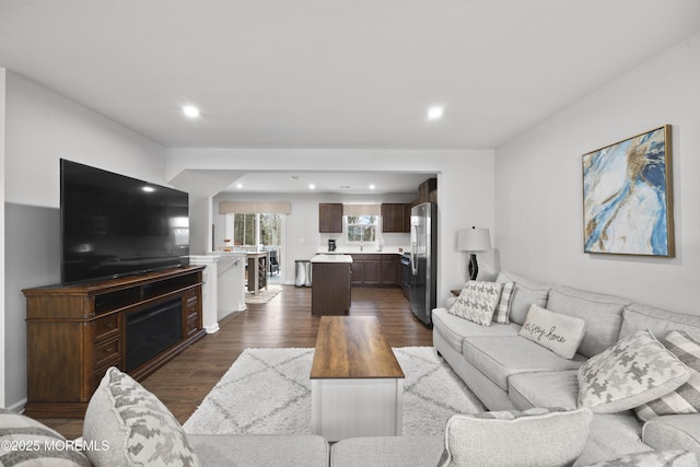 living room featuring dark hardwood / wood-style flooring