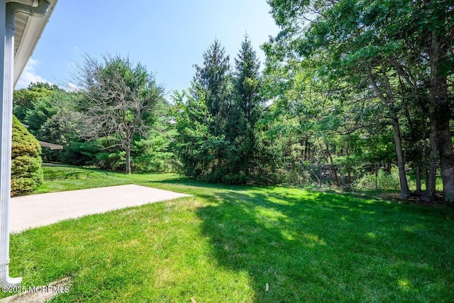 4 Penny Ln, Jackson, NJ 08527 - photo 29