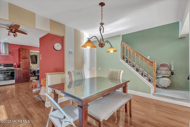 dining space featuring ceiling fan and light wood-type flooring