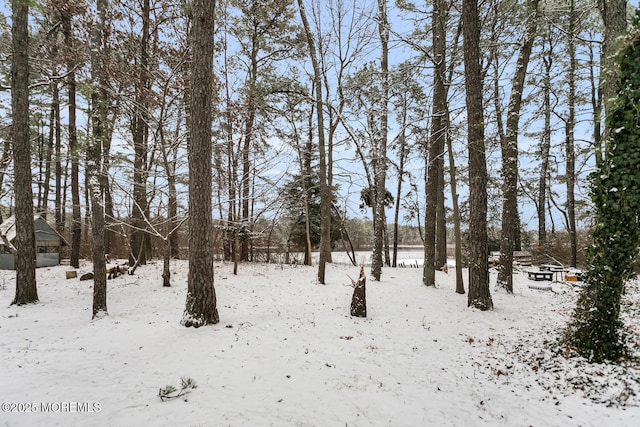 view of snowy yard