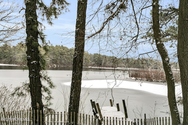 view of snowy yard