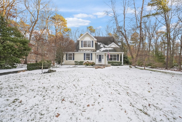 view of cape cod home