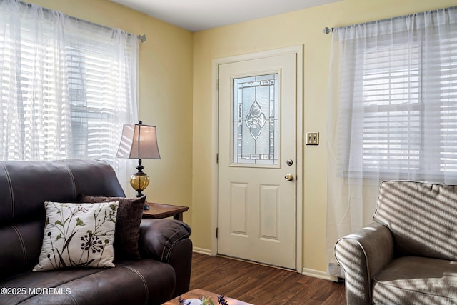 entrance foyer featuring dark hardwood / wood-style flooring and a healthy amount of sunlight