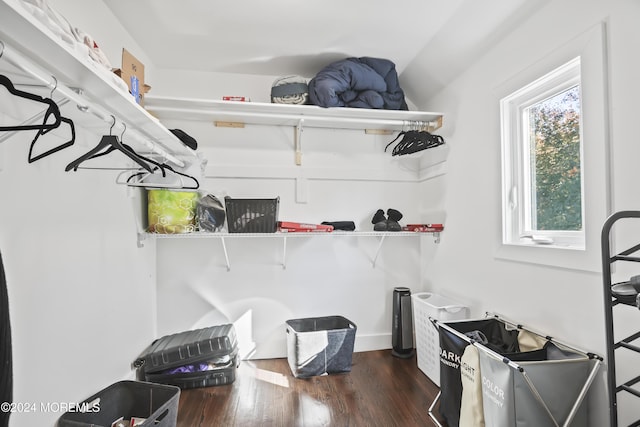 spacious closet featuring dark hardwood / wood-style floors