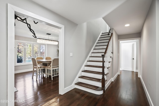 staircase with wood-type flooring