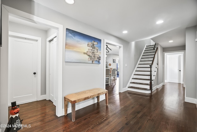 foyer entrance featuring dark hardwood / wood-style flooring