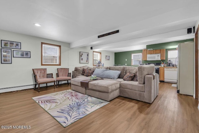 living room featuring plenty of natural light and light hardwood / wood-style flooring