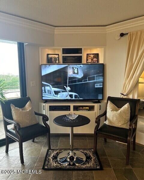 living area featuring crown molding