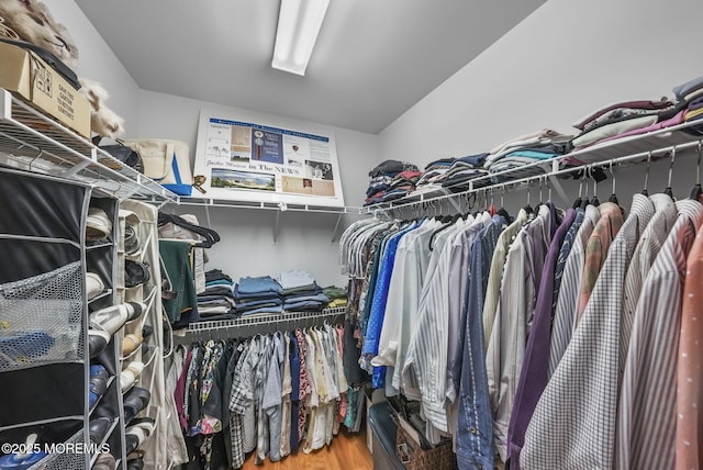 spacious closet with wood-type flooring