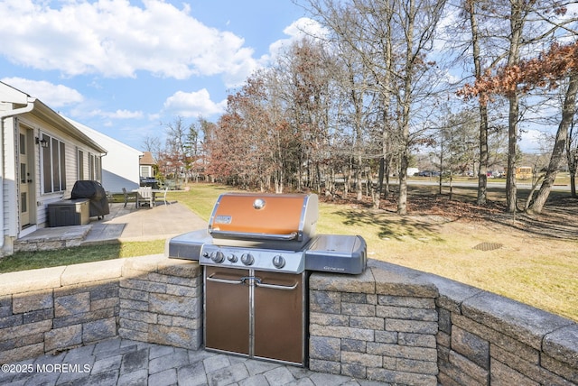 view of patio / terrace with area for grilling and exterior kitchen