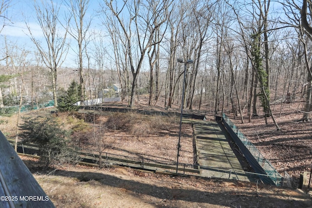 view of yard featuring a wooded view