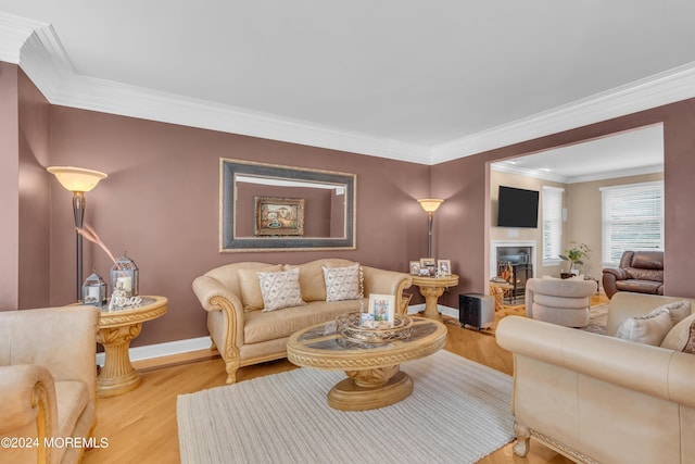 living room featuring hardwood / wood-style floors and crown molding