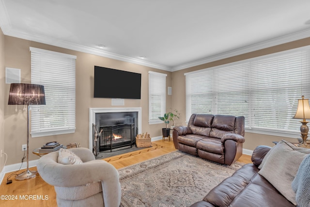 living room featuring hardwood / wood-style floors and crown molding