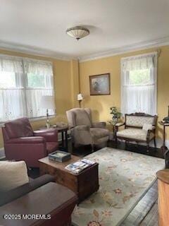 living room featuring ornamental molding