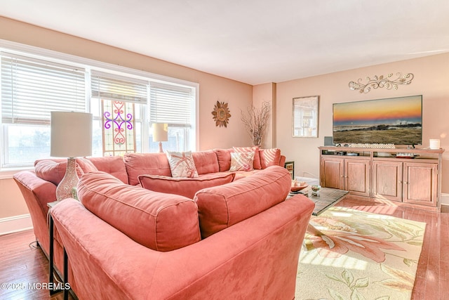 living room featuring light hardwood / wood-style floors