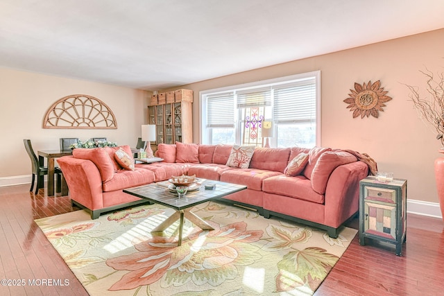 living room featuring hardwood / wood-style flooring