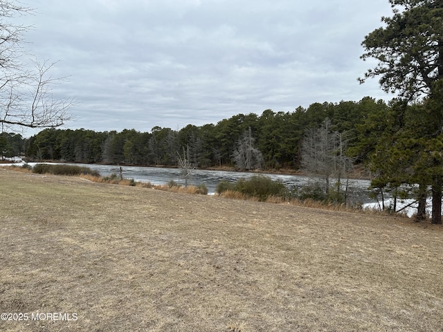 view of yard featuring a water view