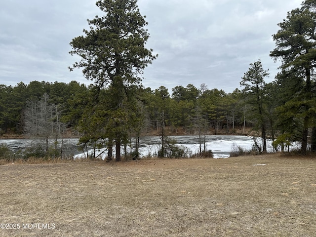 view of yard featuring a water view