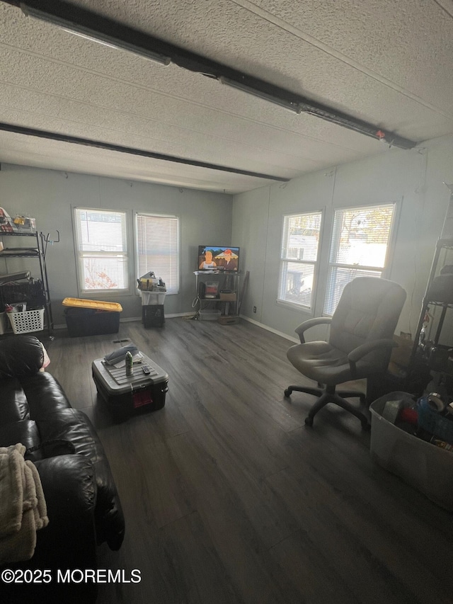 living room with a textured ceiling and hardwood / wood-style flooring