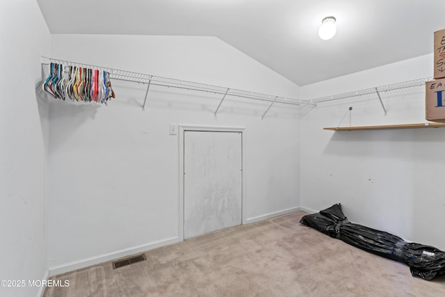 spacious closet featuring vaulted ceiling and carpet flooring