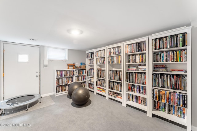 interior space with light carpet