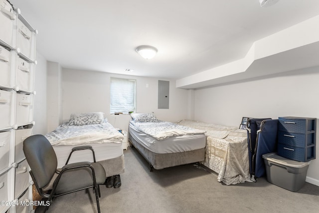 bedroom with carpet and electric panel