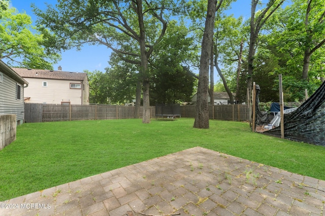 view of yard with a patio area