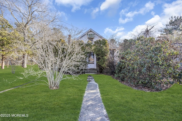 obstructed view of property with a front lawn