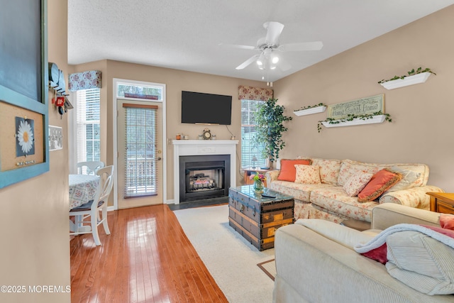 living room featuring ceiling fan, a textured ceiling, light hardwood / wood-style flooring, and a healthy amount of sunlight