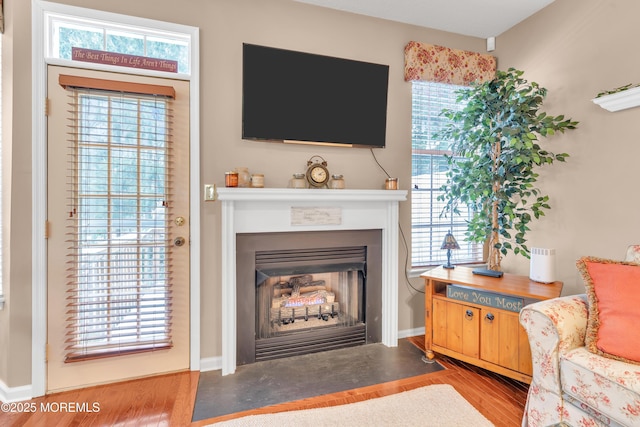 living room with a wealth of natural light and hardwood / wood-style flooring