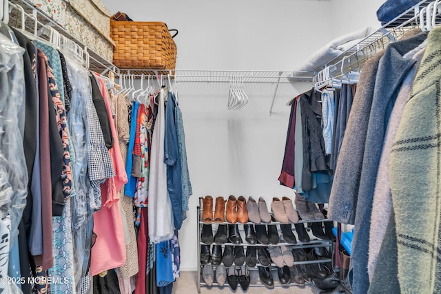 spacious closet featuring carpet flooring