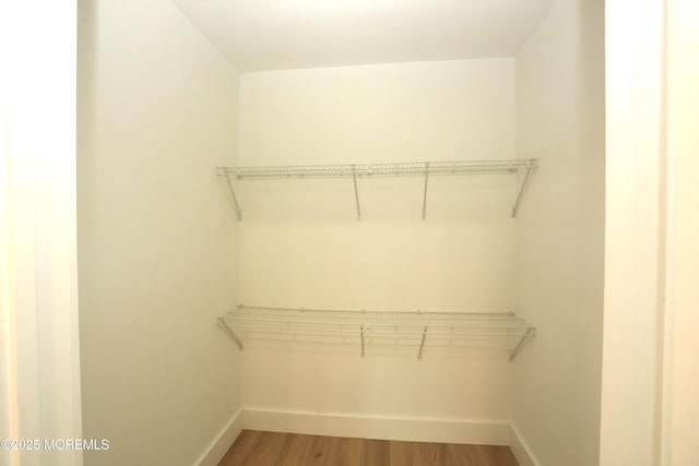 spacious closet featuring hardwood / wood-style floors