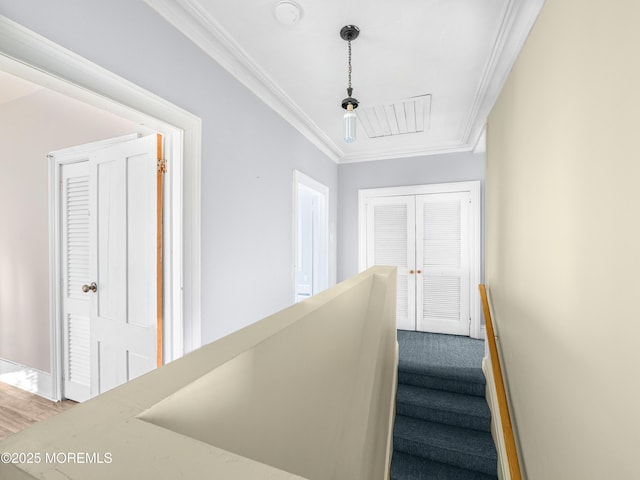 stairs featuring ornamental molding and carpet