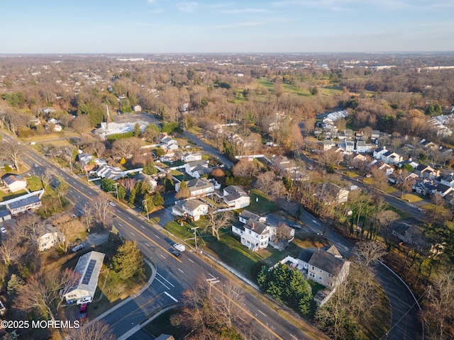 bird's eye view