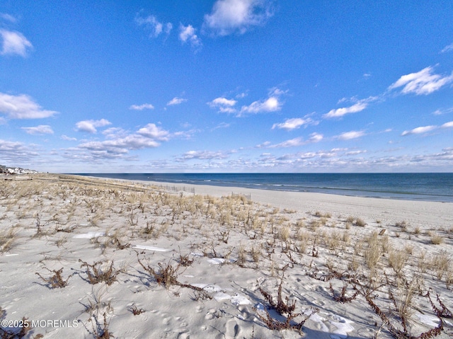 property view of water featuring a beach view