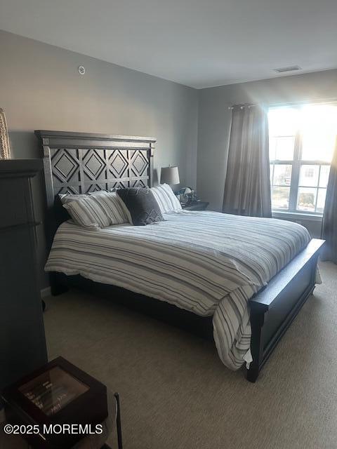 bedroom with carpet floors