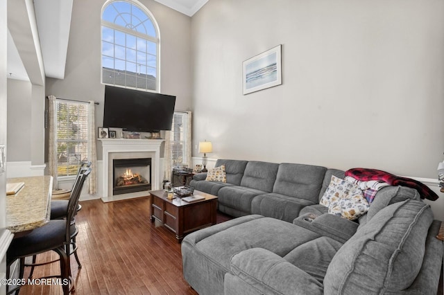 living room featuring dark hardwood / wood-style flooring, crown molding, and a high ceiling