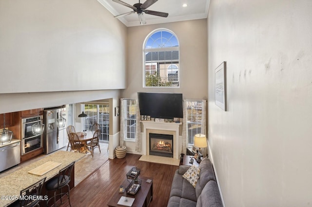 living room featuring ceiling fan, a high ceiling, crown molding, and dark wood-type flooring