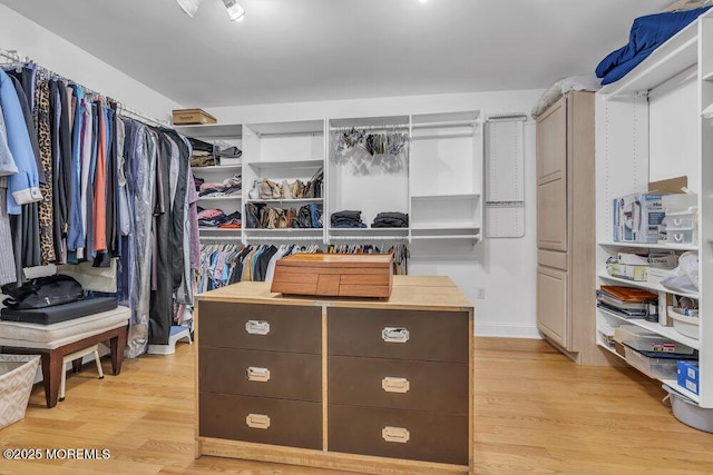 spacious closet featuring light hardwood / wood-style floors