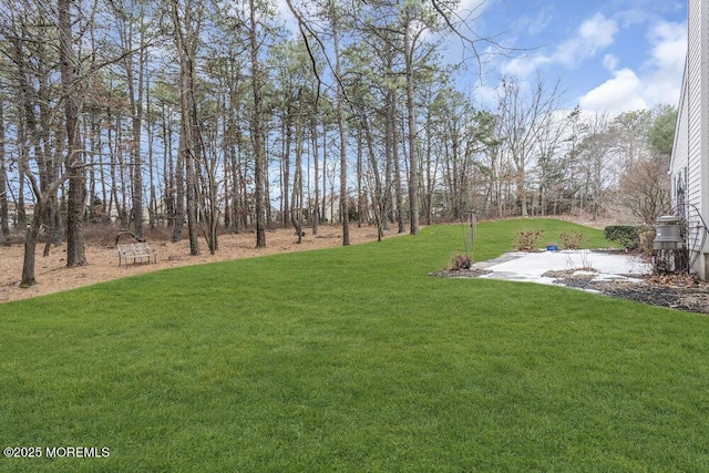 view of yard featuring a patio