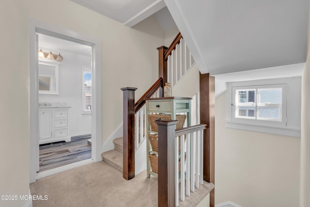 stairway with carpet floors