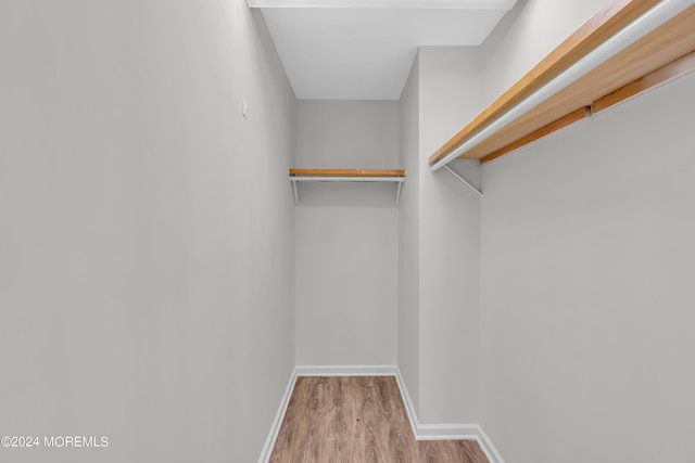 spacious closet featuring light wood-type flooring