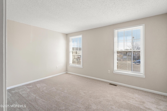 carpeted spare room with a textured ceiling and plenty of natural light