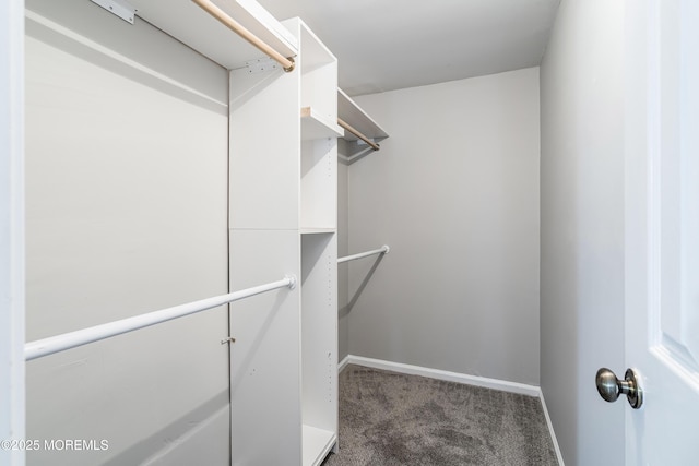 spacious closet featuring dark carpet