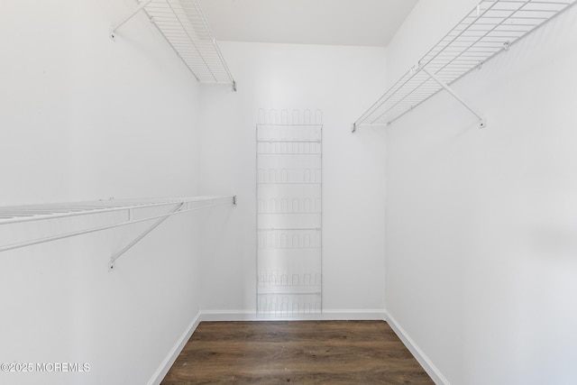 walk in closet featuring dark hardwood / wood-style floors