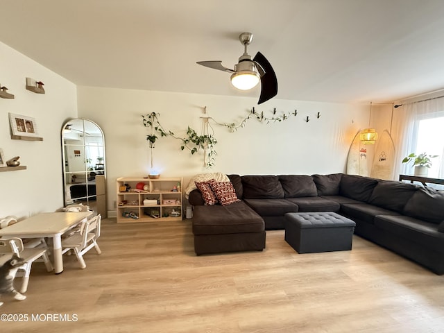 living room featuring ceiling fan and light hardwood / wood-style flooring