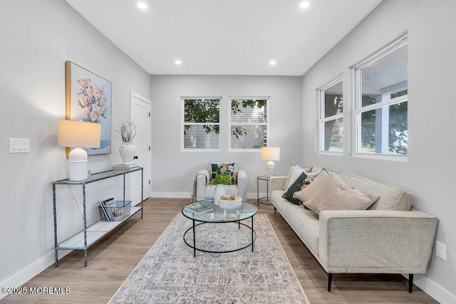 living room featuring hardwood / wood-style flooring