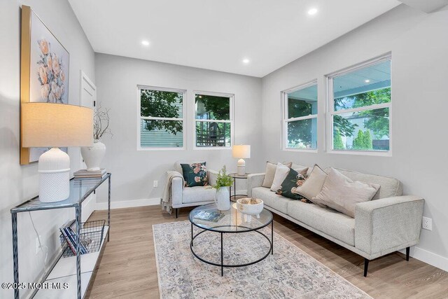 living room with light hardwood / wood-style floors